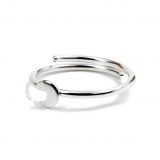 Måneskinn sølvring, lav