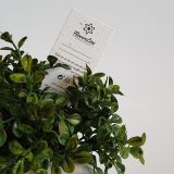 Greta planteskilt 24 stk.