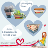 Lykketegning vårsett miljøpotter