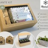 Plante kit Elizabeth med såsamler og såbrett - kr 150,00 pr stk