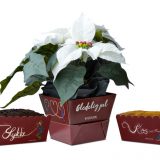 Lykketegning Julepakke