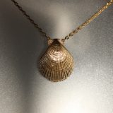 Kamskjell smykke forgylt