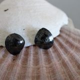 Kuskjell øredobber med pin, oksidert