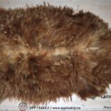 Lammeskinn av Gammalnorsk spelsau nr 9