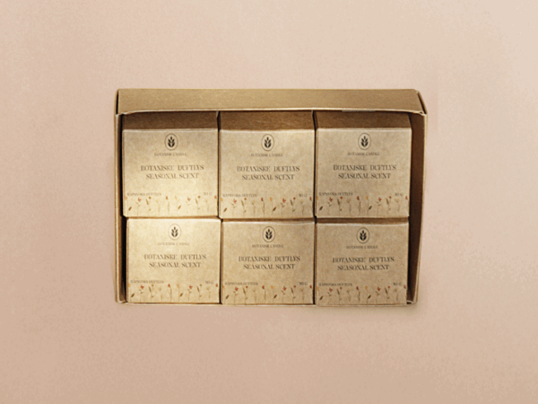 Botanisk Candle Discovery Box med 6 Tin Travel 40 g - Bilde 2